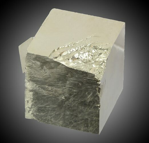 Wide Pyrite Cube - Navajun, Spain #30997